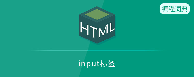 input标签是什么意思