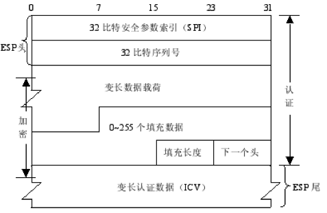 封装安全净荷（encapsulating security payload，esp）