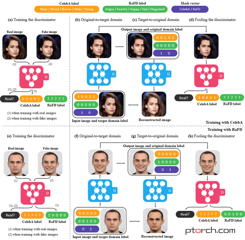 pytorch使用多个数据集进行训练StarGAN