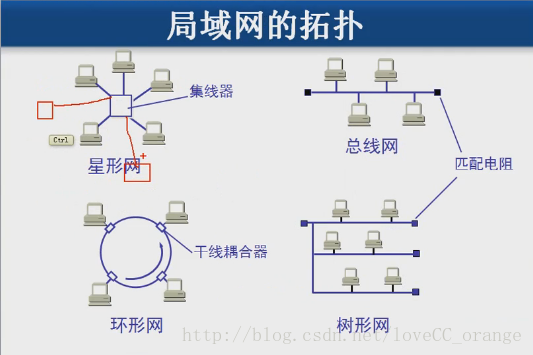 拓扑结构