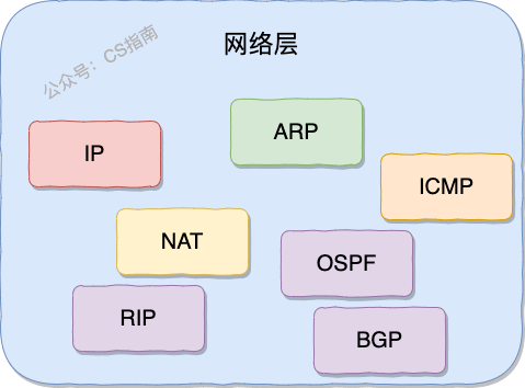 网络层