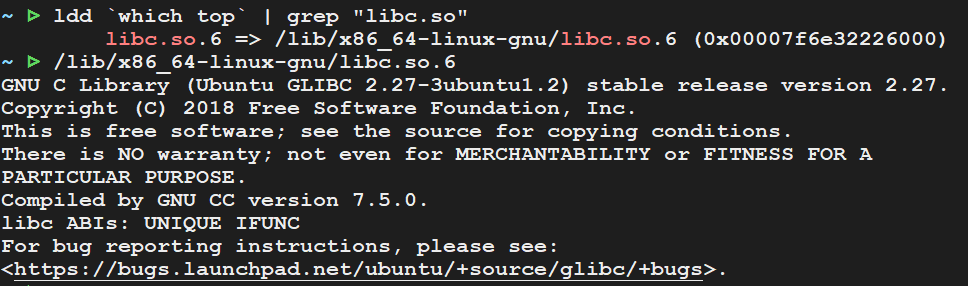 002-01-libc_ldd