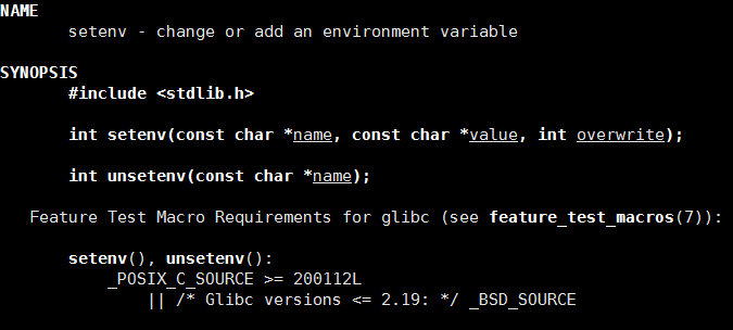 man setenv