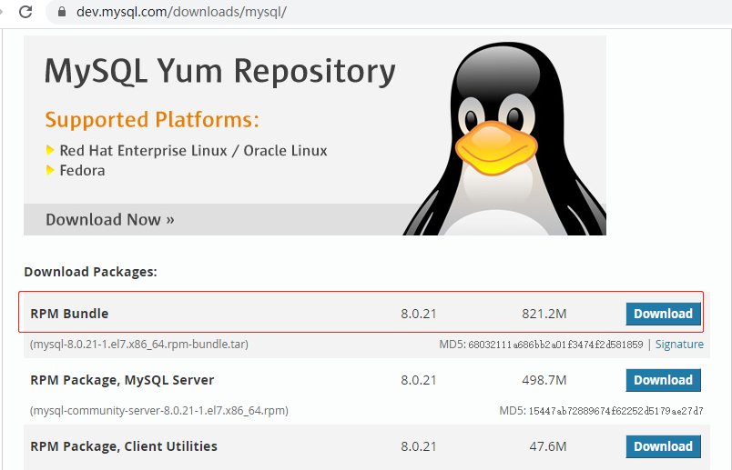 选择RPM Bundle，点击Download