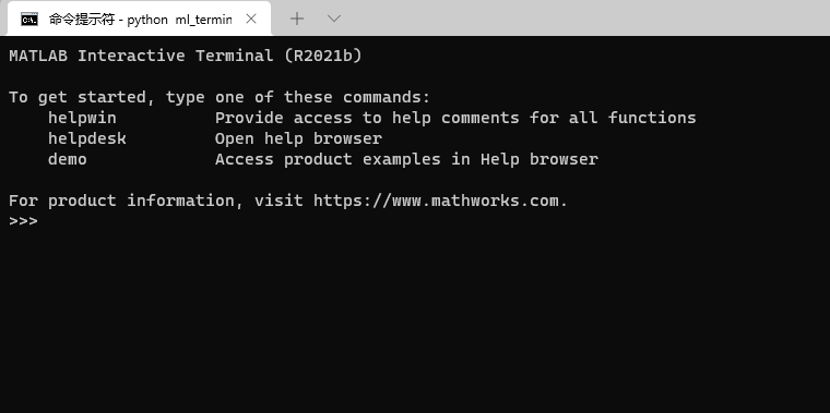 matlab terminal