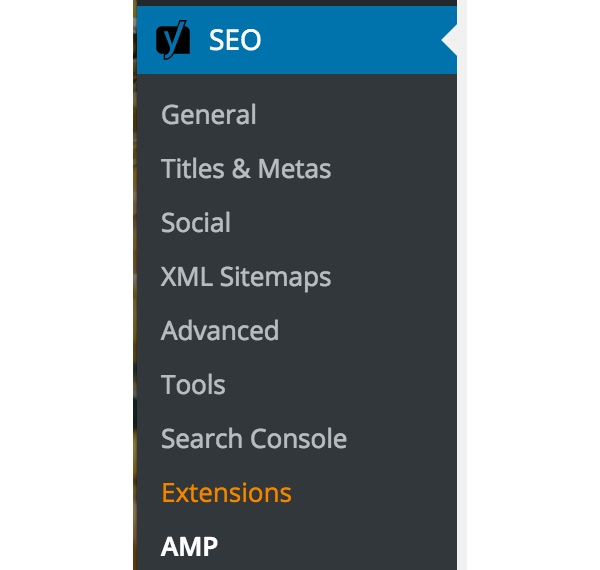 WordPress的AMP-Yoast SEO AMP菜单的胶水