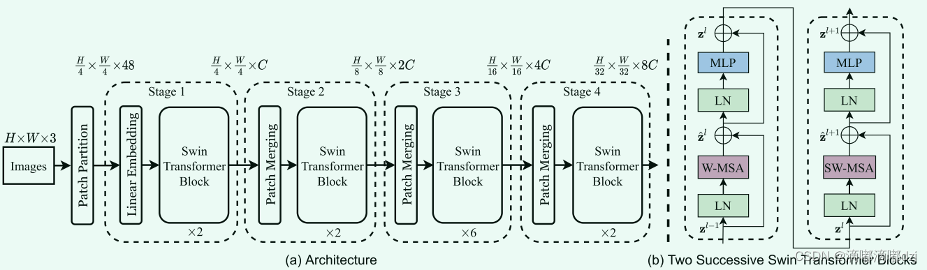 swin transformer结构图