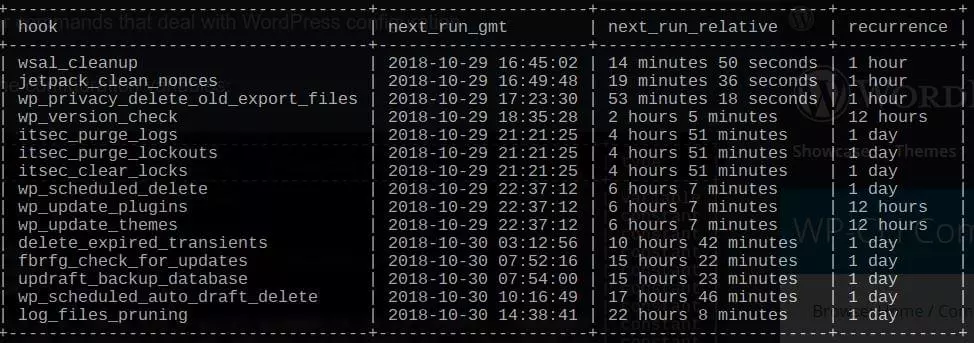 wp cron output