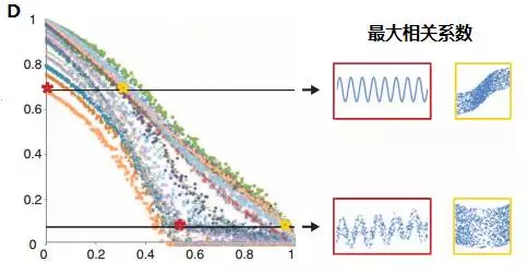 最大相关系数