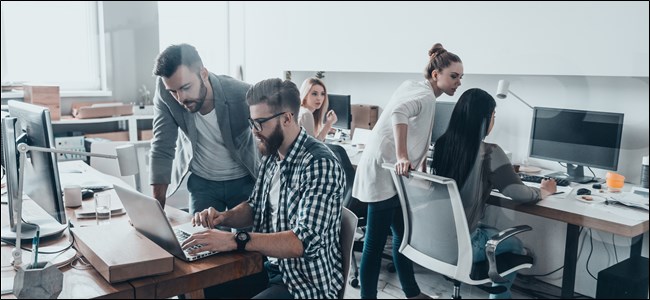 Group of Office Workers