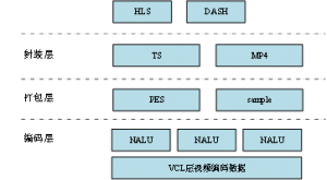 视频内容格式