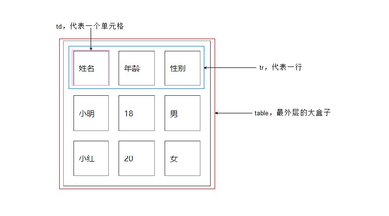 07table基本结构