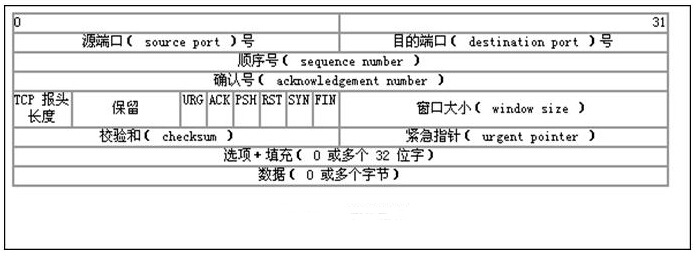 TCP帧结构