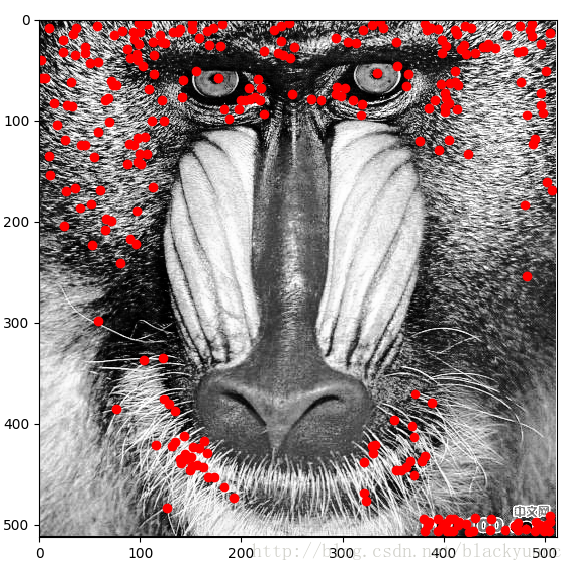 mandrill2