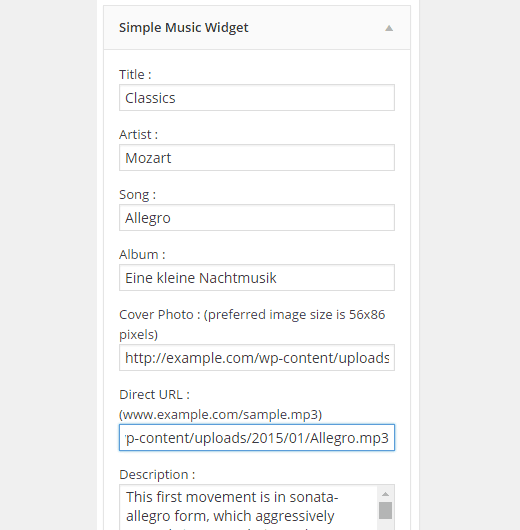Simple Music Widget Settings