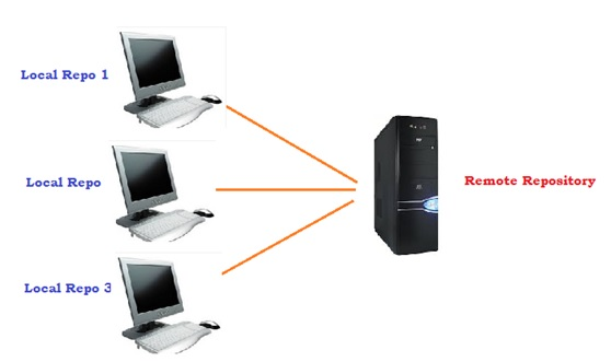 Organization of Local and Remote/Central Repositories