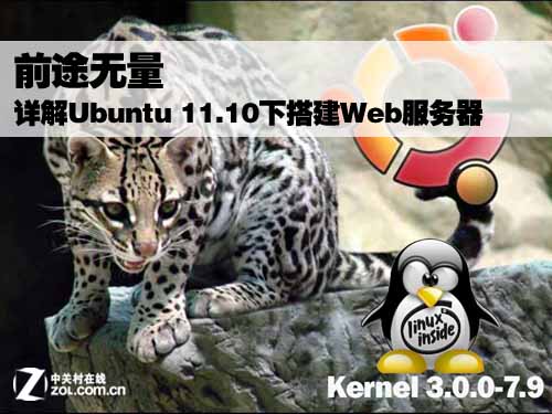 Ubuntu 11.0下搭建Web服务器 