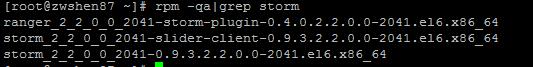 图 18. Storm 的 RPM 包