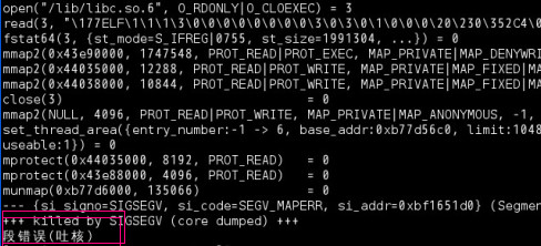 段错误（吐核）