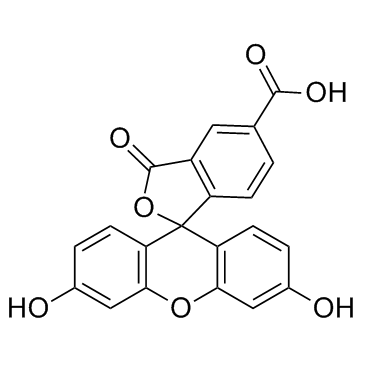 5-FAM