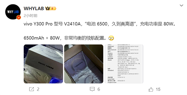 vivo y300 pro即将发布：80w快充 6500mah大电池